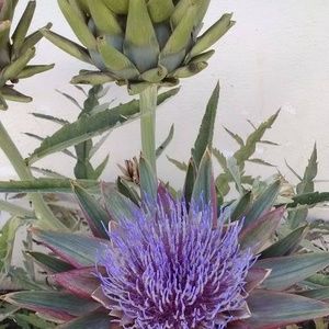 Meet your Posher, Larry